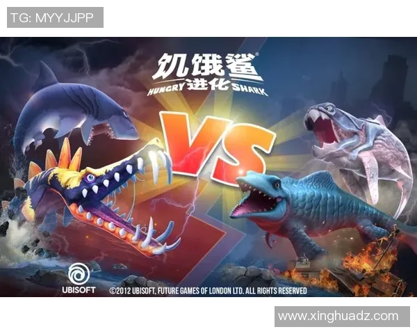 尼奥尔与克莱蒙历史对战回顾及战绩分析